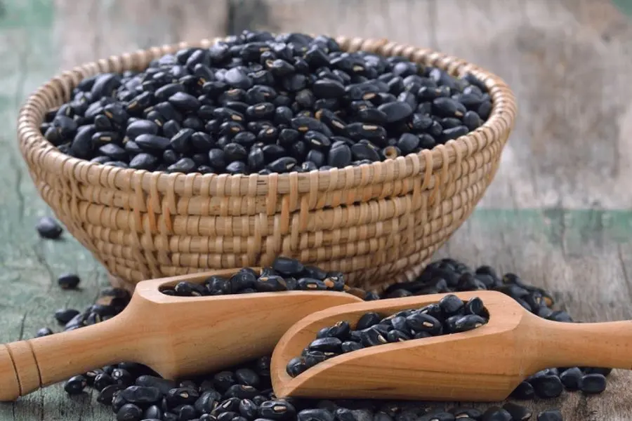 Đậu đen cũng được nhiều người ưa chuộng để dùng làm phương pháp giải rượu bia ngày Tết.