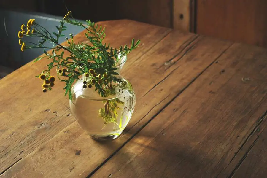 Rửa sạch bình và đổ nước