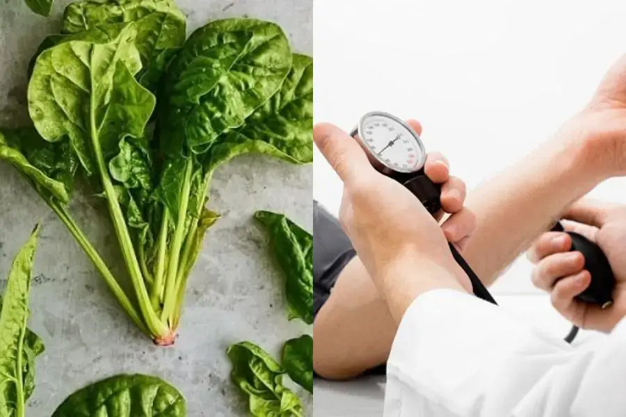 Nước ép rau Bina rất giàu các chất nitrat tự nhiên tốt cho huyết áp.