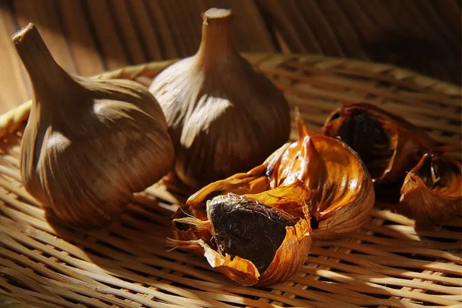 Để tỏi nơi khô ráo