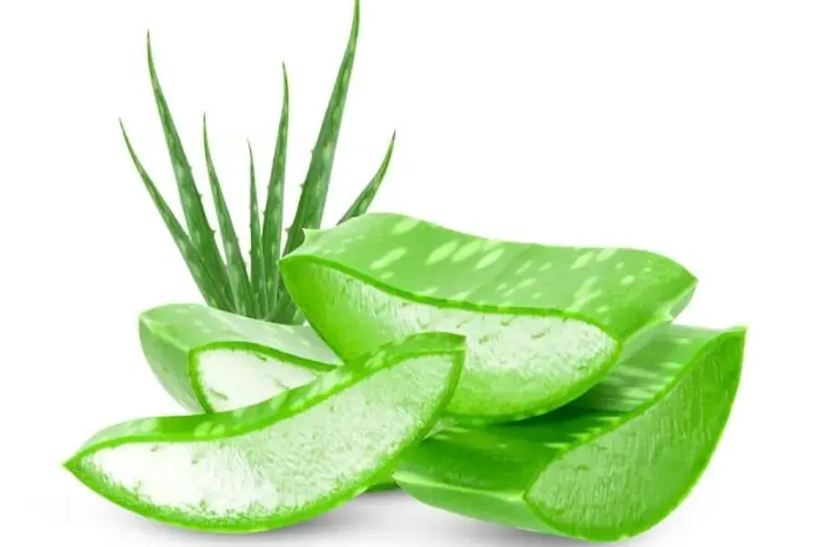 Cắt nha đam thành những miếng nhỏ để dễ ép