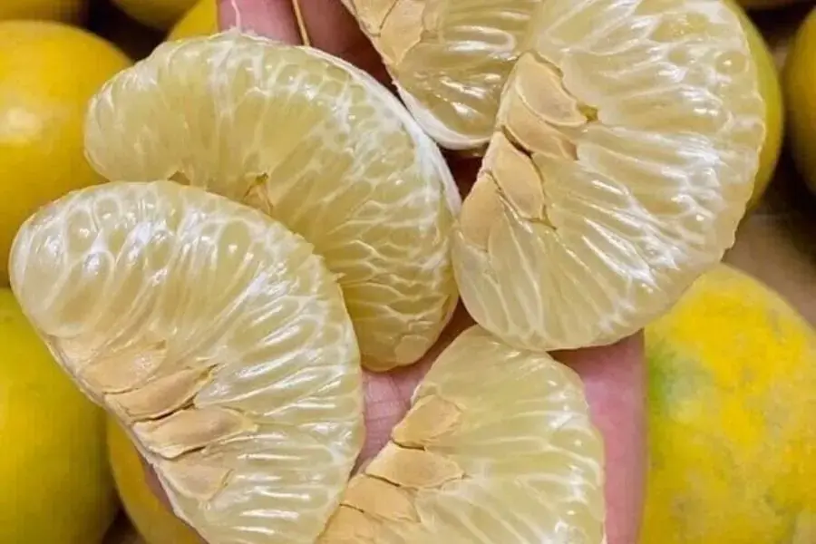 Bưởi Diễn