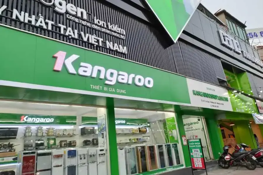 Vì được ra đời muộn nên Kangaroo vẫn còn đi sau về công nghệ so với các hãng lâu đời