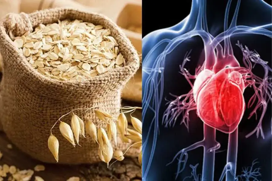 Yến mạch tốt cho sức khỏe tim mạch