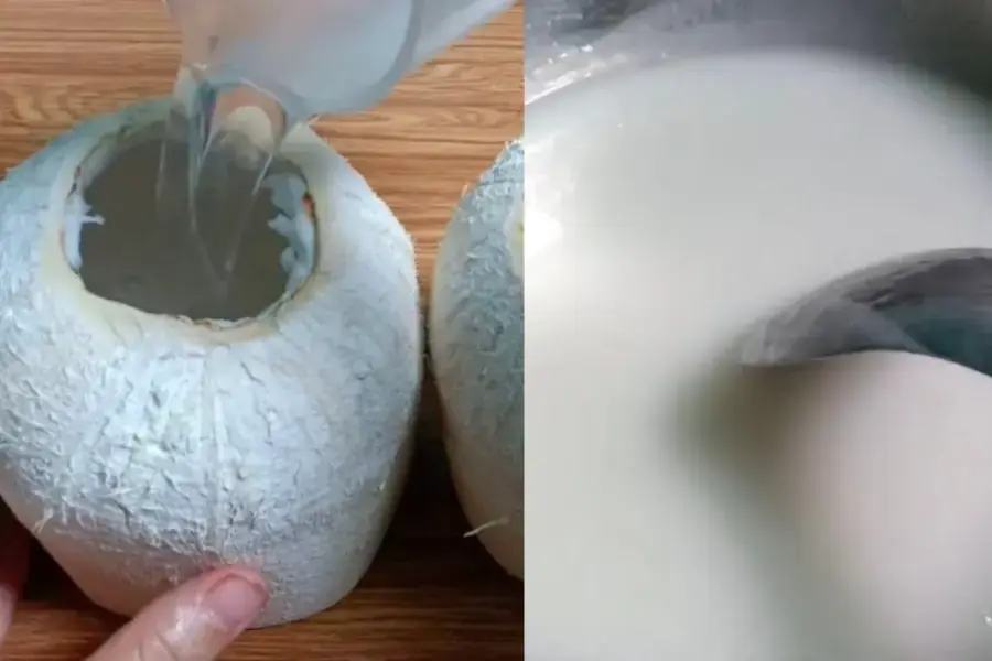 Đổ nước rau câu nước cốt dừa vào trái dừa tươi
