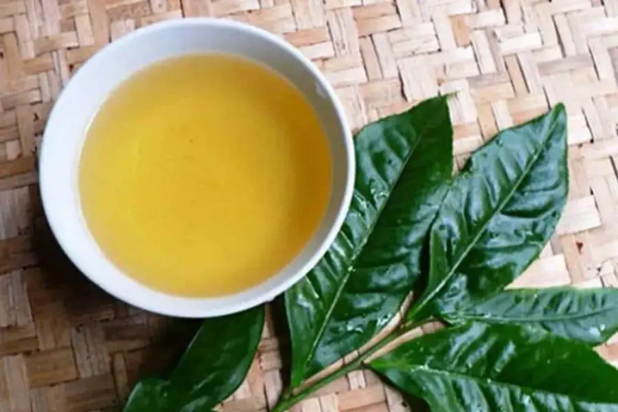 Nước lá vối có tươi có màu vàng nhẹ và thơm