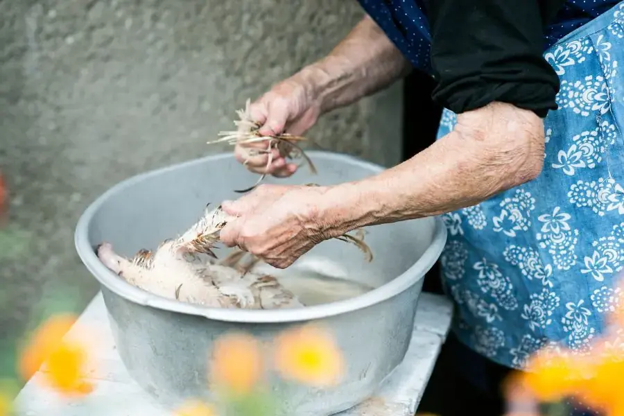 Làm lông gà kỹ lưỡng, sạch sẽ