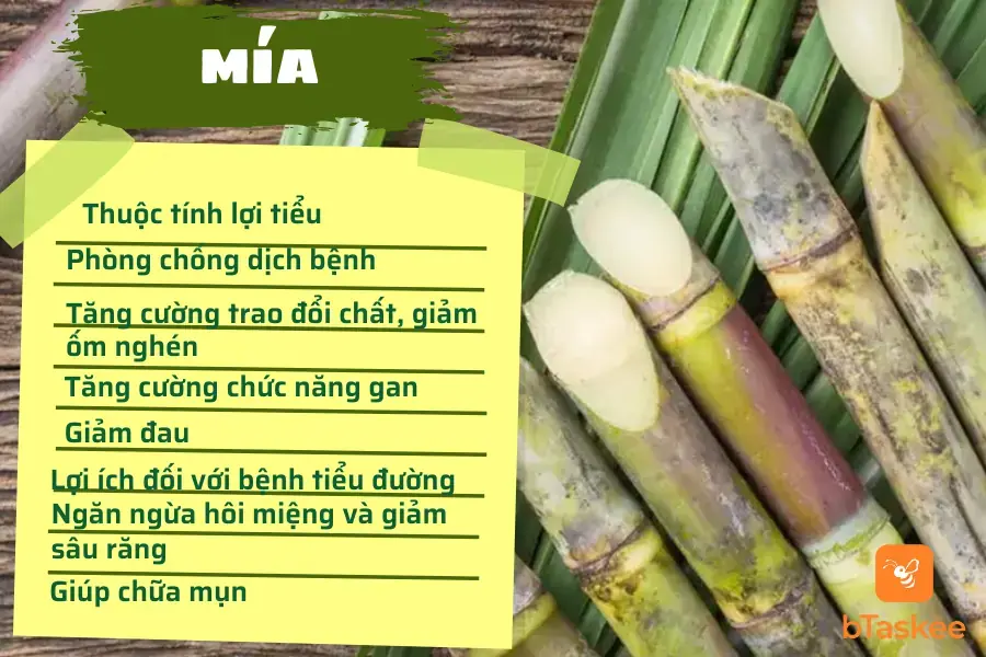 8 công dụng của mía có lợi cho sức khoẻ