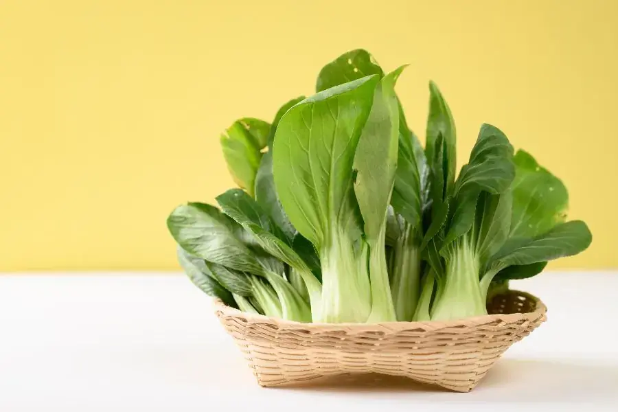 Cải thìa giảm cân