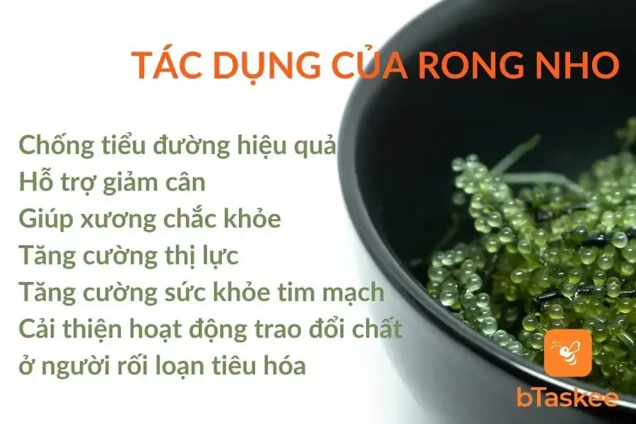 Tổng hợp công dụng của rong nho