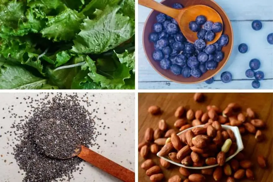 Chuẩn bị nguyên liệu tươi ngon cho salad việt quất hạt chia đậu phộng