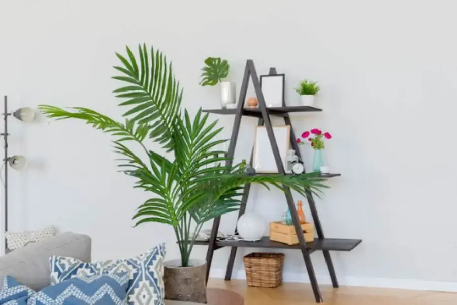 Một kệ cây được bố trí cho phòng khách thêm tinh tế