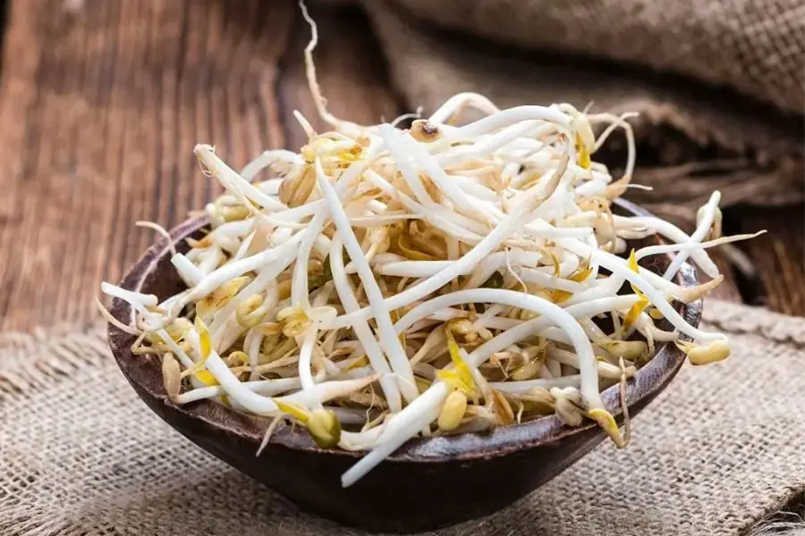 Cây mầm họ giá đỗ.