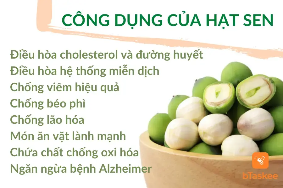 Tổng hợp những tác dụng của hạt sen