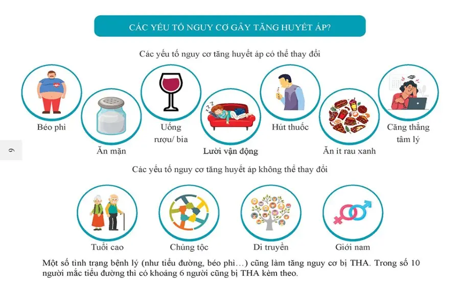 Các tác nhân gây huyết áp cao ở người già: thuốc lá, ăn mặn, tâm lý, béo phì, di truyền,....