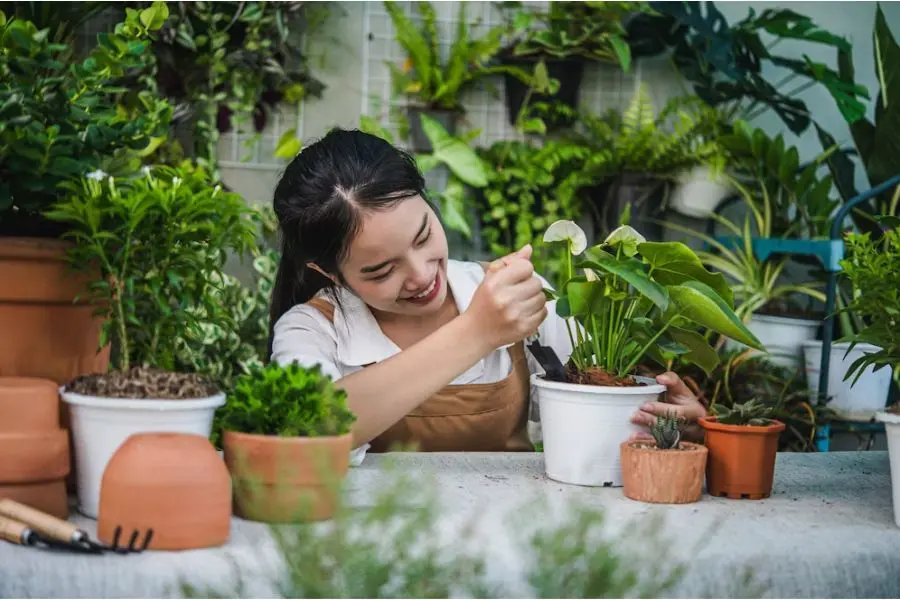 Cây trồng ban công giúp trang trí không gian, thanh lọc không khí hiệu quả.