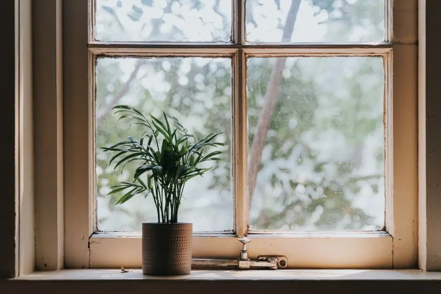 Nên chọn những chậu cây nhỏ để trang trí cửa sổ lớp học.