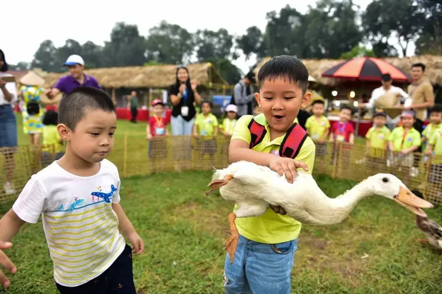 Trò chơi bịt mắt bắt vịt mang lại may mắn, phước lành.