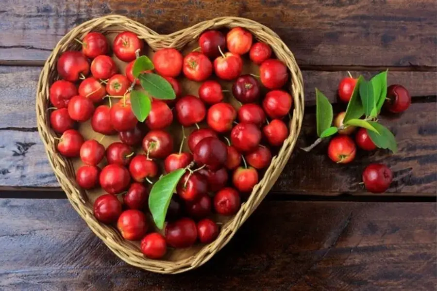 Sơ ri có lợi cho sức khỏe tim mạch