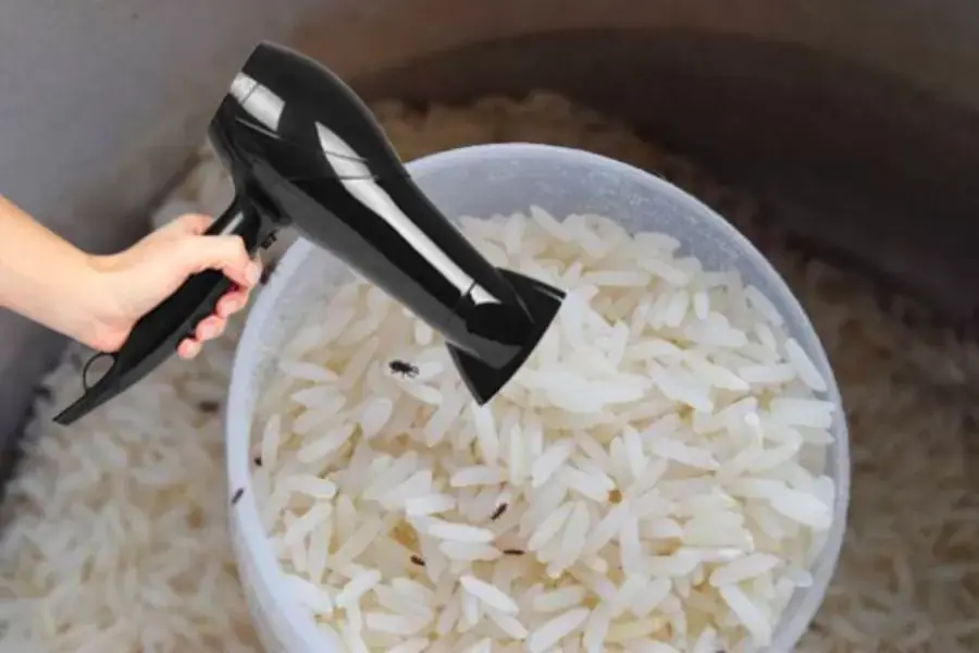 Phương pháp dùng máy sấy tương tự cách phơi dưới ánh nắng mặt trời vì tính chất không ưa nắng và nóng của loài mọt