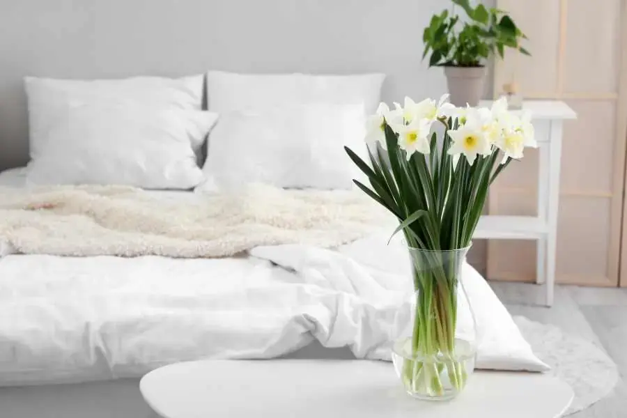Cắm hoa bằng bình thủy tinh đơn giản cho phòng ngủ.