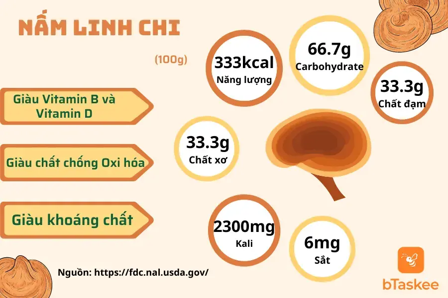 Thành phần dinh dưỡng của nấm linh chi