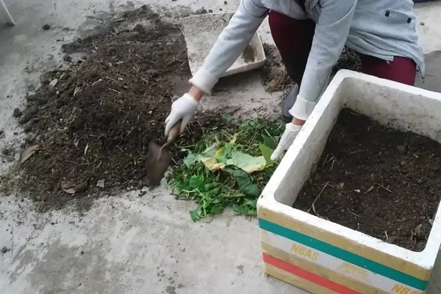 Làm sạch giá thể đất trồng cây 