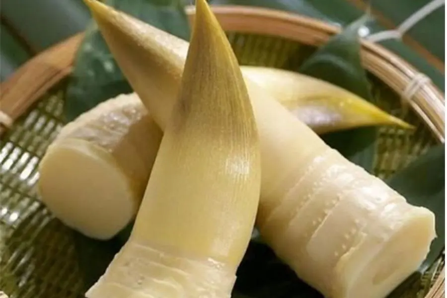 Chọn những búp măng non, vỏ mỏng