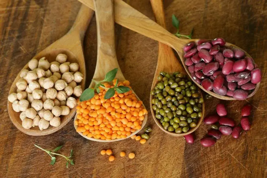 Thực phẩm từ đậu chứa nhiều isoflavones tốt cho tim mạch và ngăn ngừa béo phì.