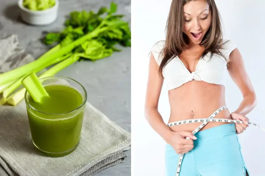 Nước ép cần tây giảm cân hiệu quả, được nhiều chị em tin tưởng sử dụng