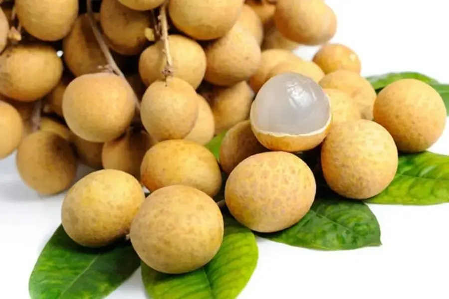 Nhãn lồng Hưng Yên