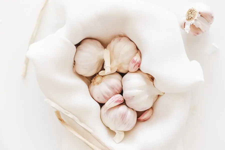 Cách chọn mua tỏi ngon, chắc mẩy