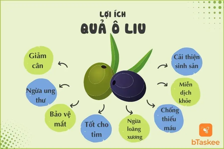 Lợi ích sức khỏe của quả ô liu