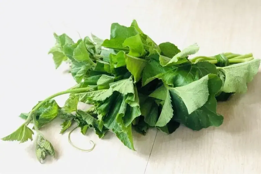 Ăn rau bí giúp thanh lọc và làm mát cơ thể.