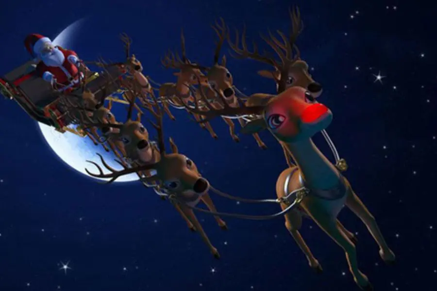 Tuần lộc của ông già Noel đều là con cái.