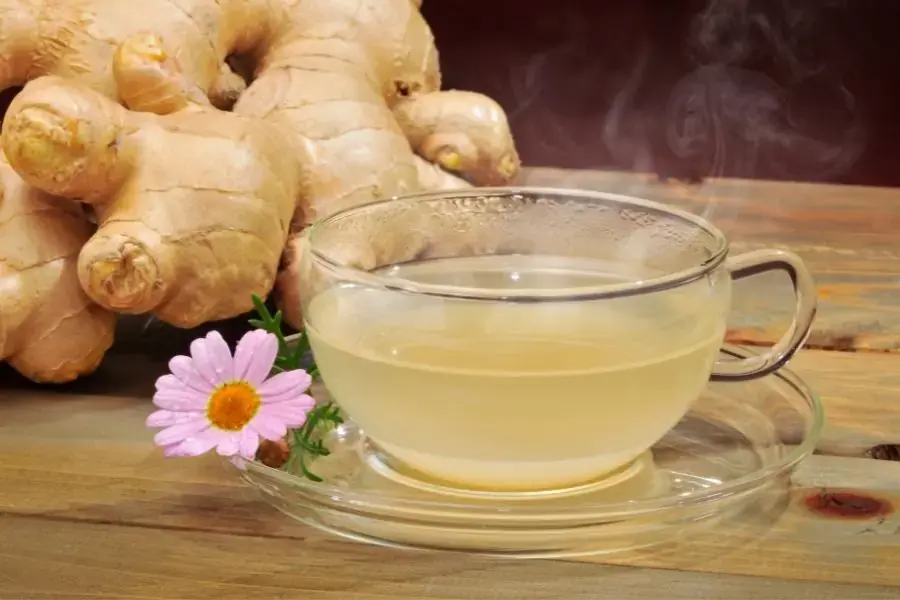 Nước ép gừng có tác dụng chống buồn nôn hiệu quả