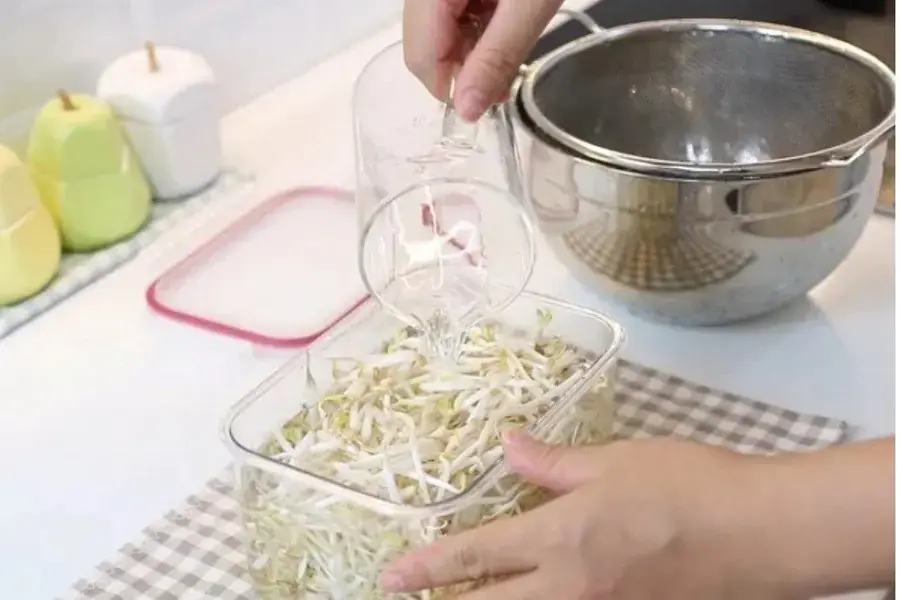 Ngâm giá đỗ trong nước