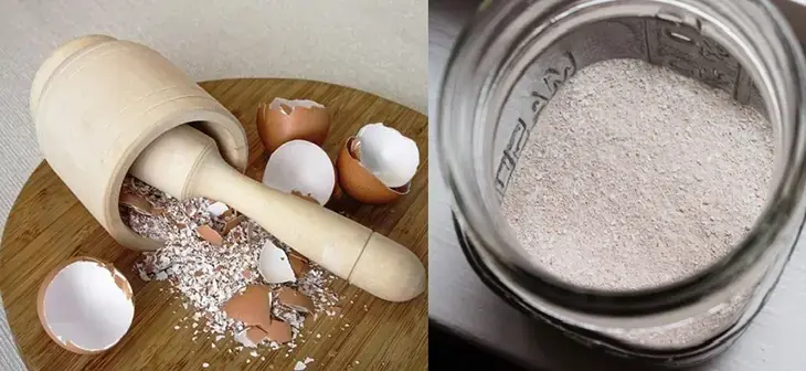 Sử dụng vỏ trứng gà và baking soda để khử mùi (Nguồn dienmayxanh.com)
