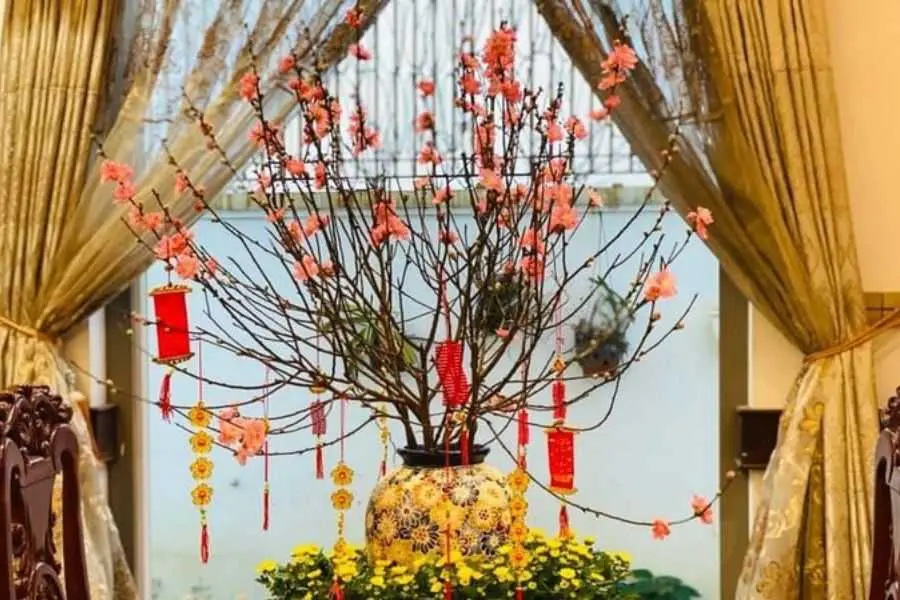 Trang trí cây Tết là một phong tục từ lâu của người Việt.