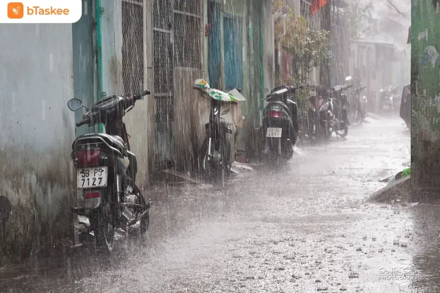 Thời tiết mưa nhiều làm độ ẩm tăng cao.