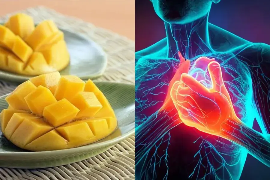 Xoài giúp giảm thiểu nguy cơ mắc các bệnh liên quan đến tim mạch