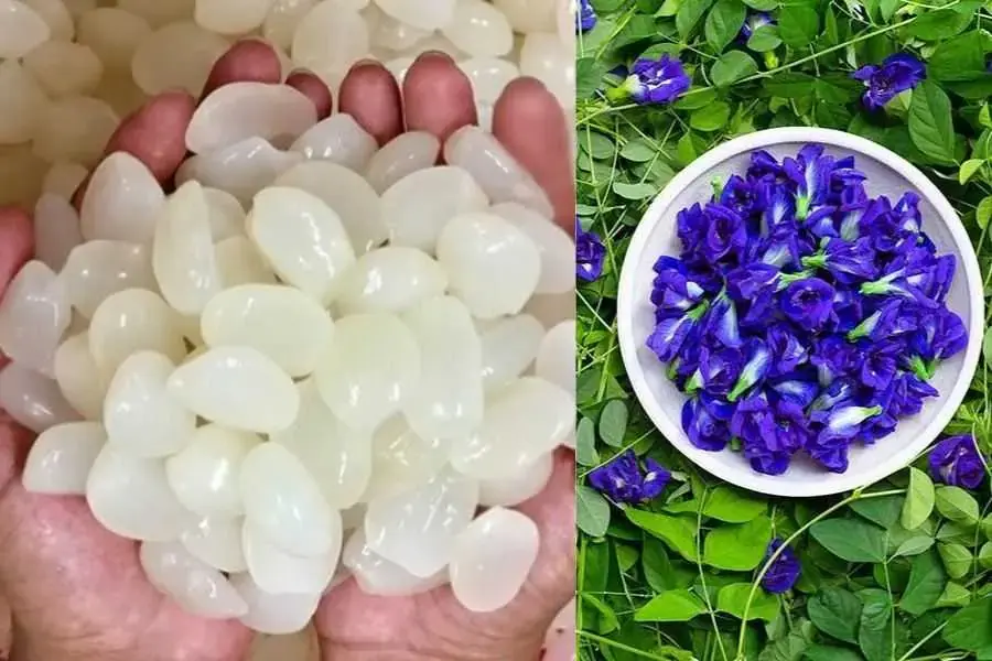 Hạt đác có chứa nhiều loại vitamin và khoáng chất tốt cho cơ thể