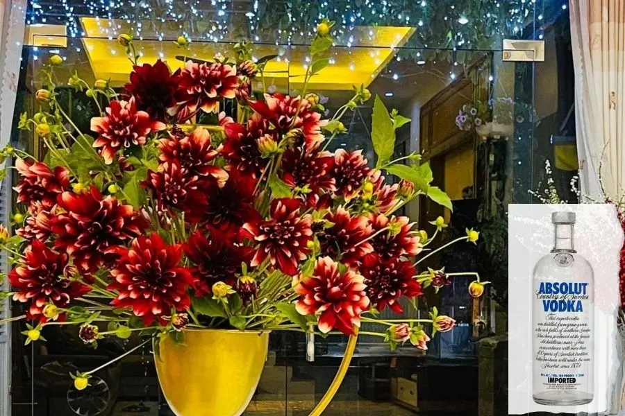 Cho rượu vào bình hoa để giữ hoa được tươi lâu hơn.