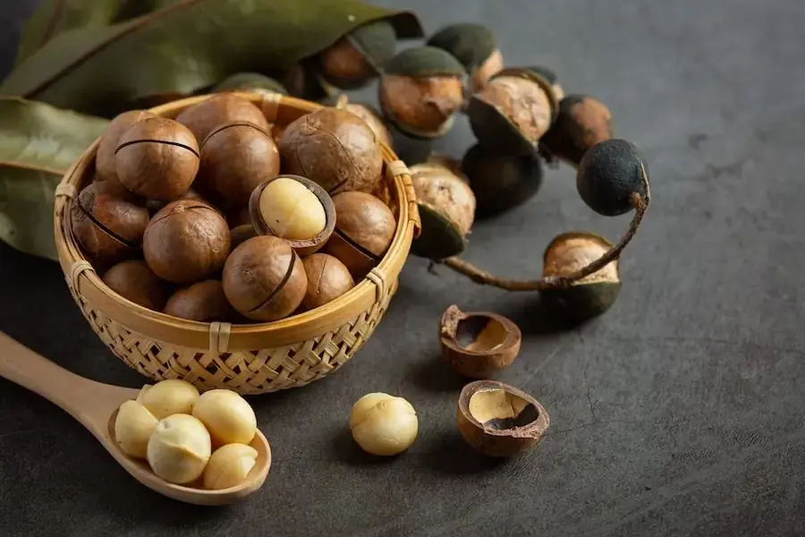Ăn hạt dẻ giúp tăng cường sức khỏe và giảm cân.