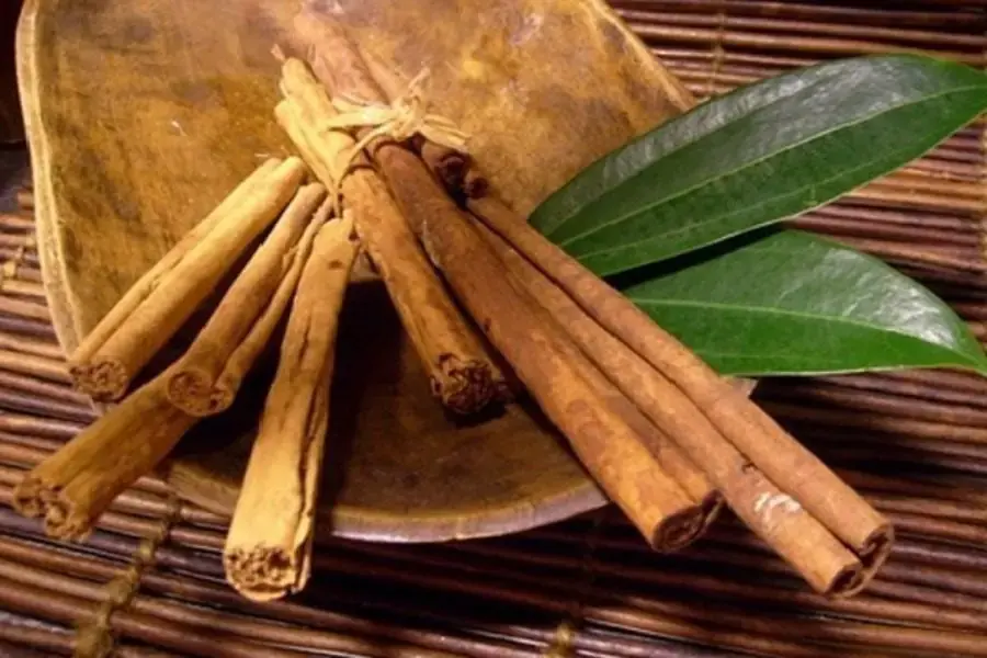 Lá quế vừa để làm thuốc - vừa bảo quản đồ ăn hữu hiệu