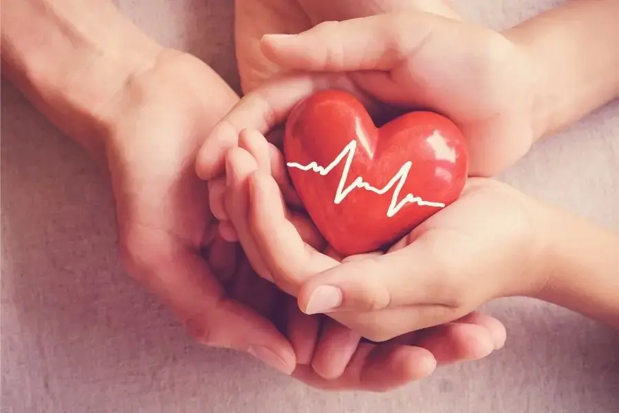 Các chất chống oxy hóa trong chiết xuất thì là có thể có lợi cho sức khỏe tim mạch tổng thể