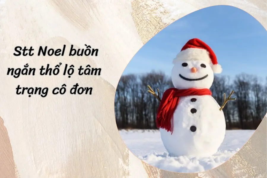 Thổ lộ cảm xúc qua những dòng stt Noel buồn ngắn.
