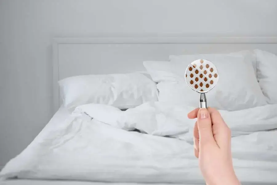 Nguyên nhân gây ra mùi hôi, vi khuẩn trong phòng ngủ (nguồn: Shutterstock.com)