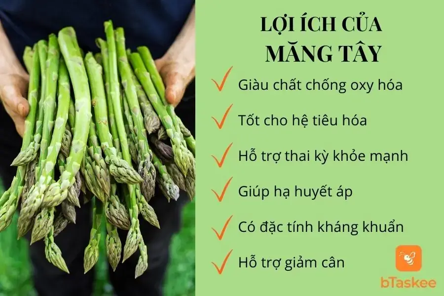 Lợi ích của măng tây đối với sức khỏe