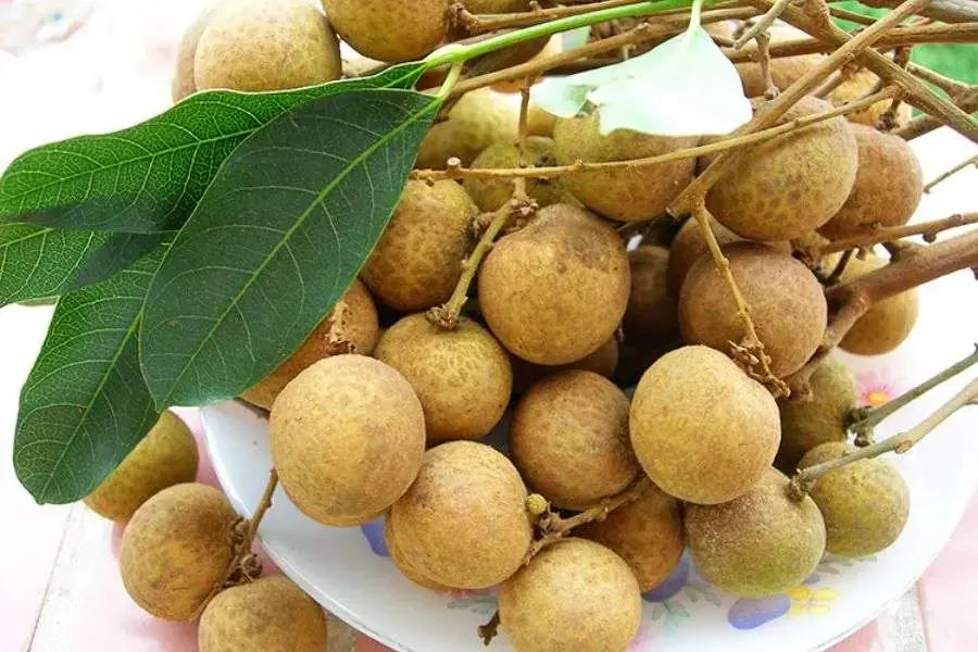 Chọn nhãn có vỏ sáng màu và còn cuống xanh tươi.